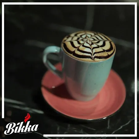 Bikka Suit&otel شقة ترابزون